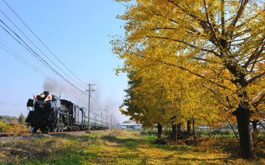 502179 (a): :1280x800